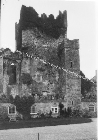 TINTERN ABBEY TOWER FROM N WITH ADDED STAIRS